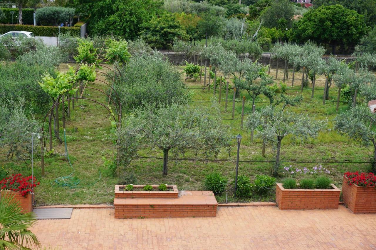 Villa Carolea Acireale Eksteriør bilde